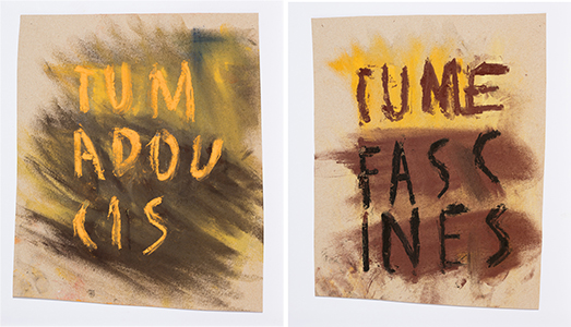 Tu m'adoucis et T_u me fascines, acquisitions Lycée Marguerite de Valois, Angoulême, 2025, Emmanuel Aragon