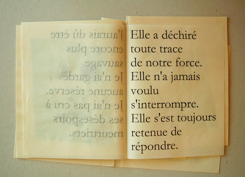 J'aurais dû être encore plus sauvage, livre d'artiste, maquette au format, inédit, Emmanuel Aragon, 2009