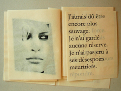 Lvre d'artiste, Emmanuel ARAGON, J'aurais dû être encore plus sauvage, 2007