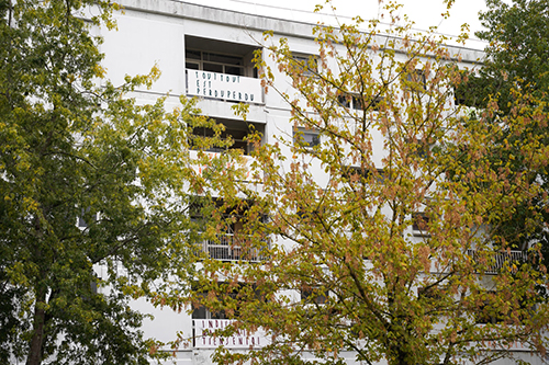 Toute ta mémoire presdque, commande Ateliers Panoramas / Ville de Lormont / Domofrance, Quartier Carrier, Emmanuel Aragon, Photgraphies Barbara Fecchio, 09-2022